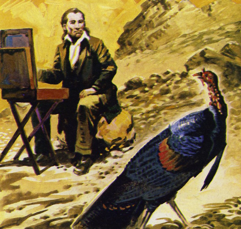 Audubon dedicou sua vida a pintar os pássaros da América de English School