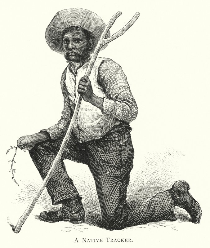 Austrália: Um Native Tracker (gravura) de English School