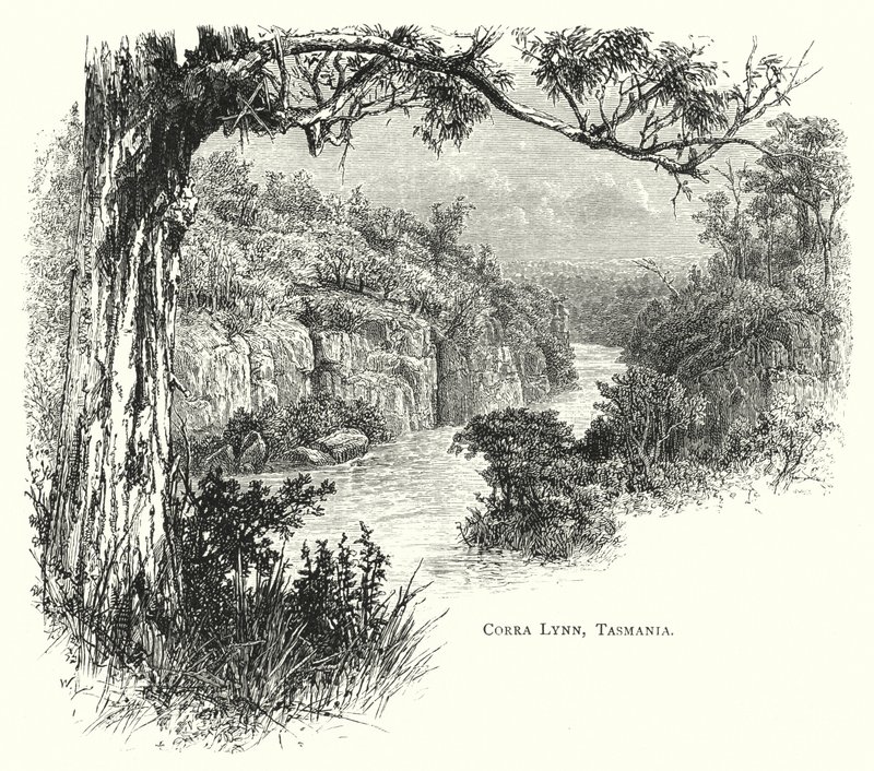 Austrália: Corra Lynn, Tasmania (gravura) de English School