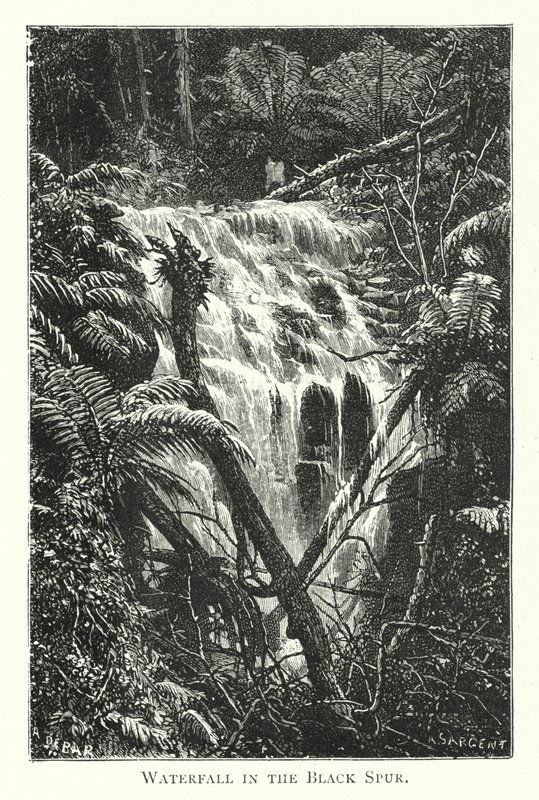 Austrália: Waterfall in the Black Spur (gravura) de English School