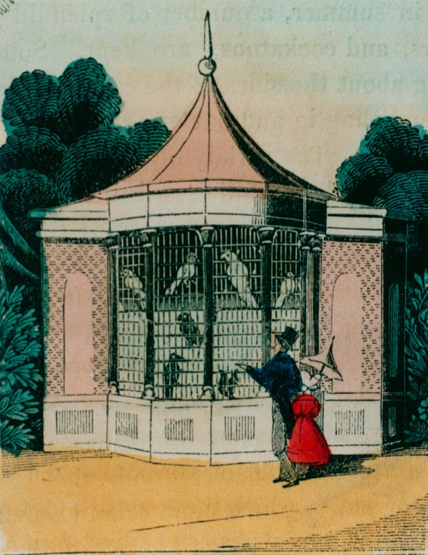 Aviário para papagaios e cacatuas no zoológico de Londres. 1840s de English School