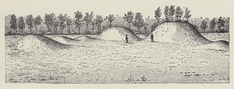 Montes de Avondale, Condado de Washington, Mississipi (litografia) de English School