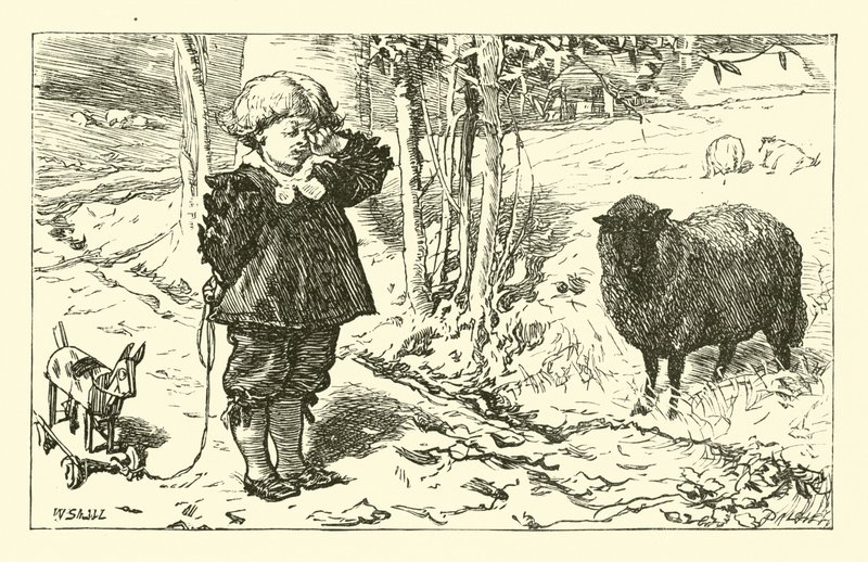 Baa, Baa, Ovelha Negra de English School