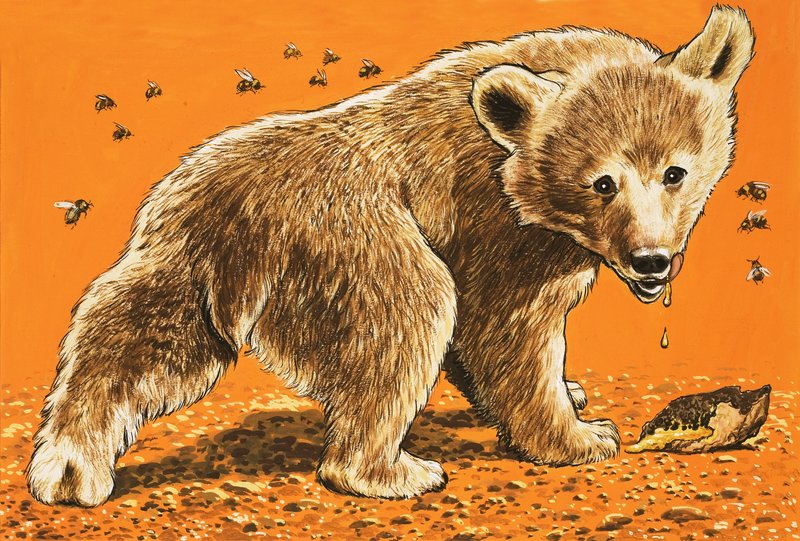 Urso marrom do bebê de English School