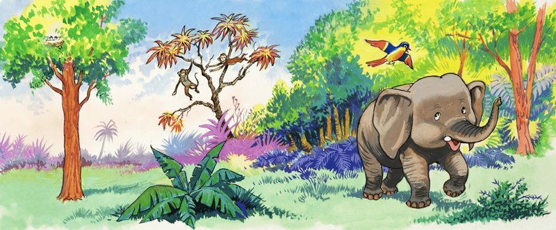 Bebê Elefante e Pássaro de English School