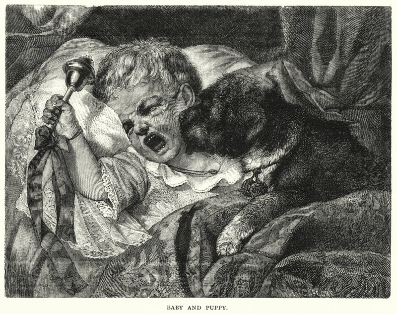 Bebé e cachorrinho (gravura) de English School