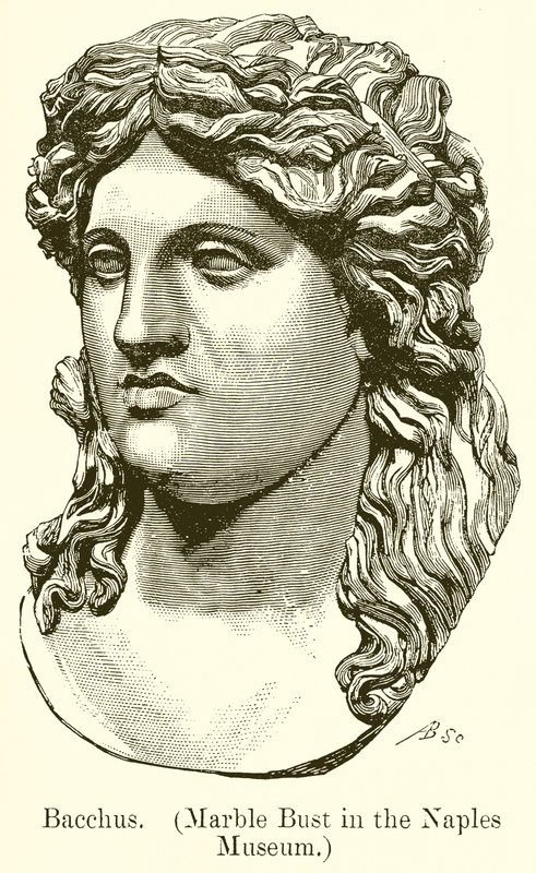Baco. (Busto de mármore do Museu de Nápoles) (gravura) de English School