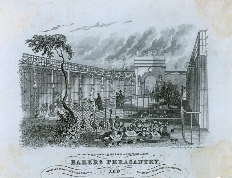 Bakers Pheasantry, Chelsea de English School