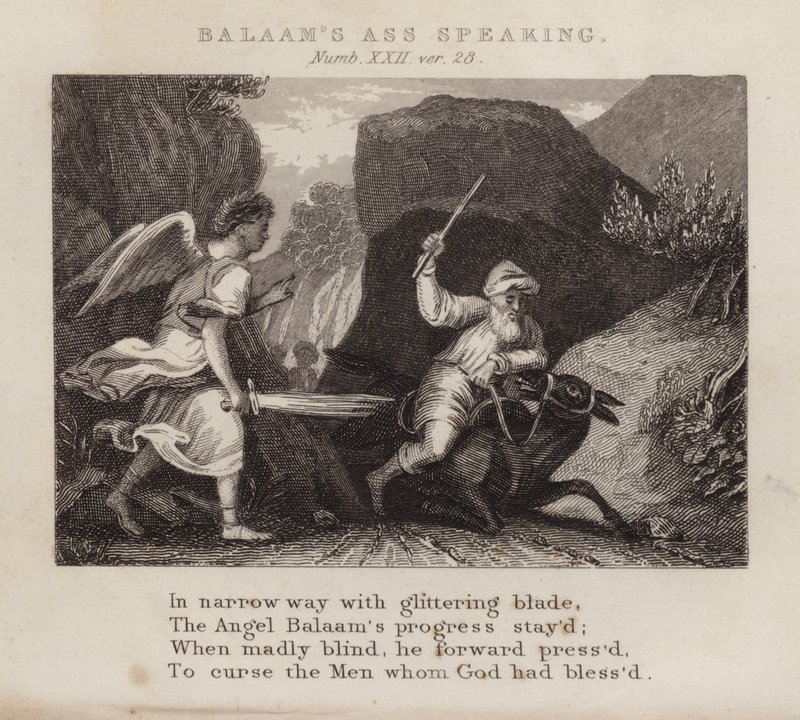 Balaam