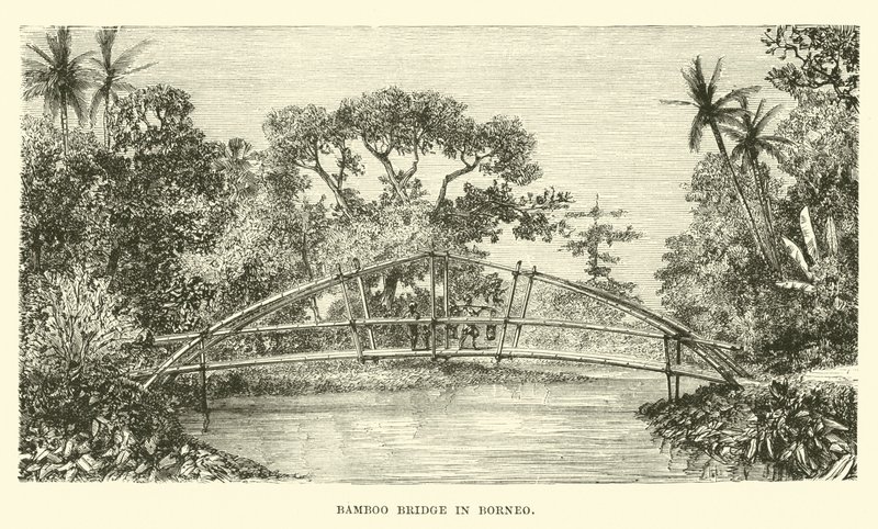 Ponte de bambu em Bornéu de English School