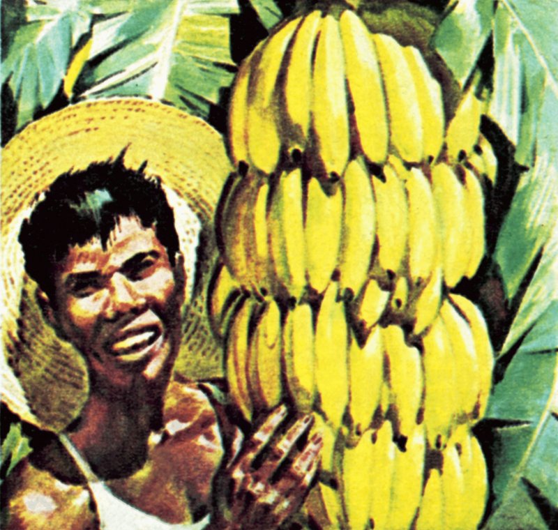 Bananas de English School