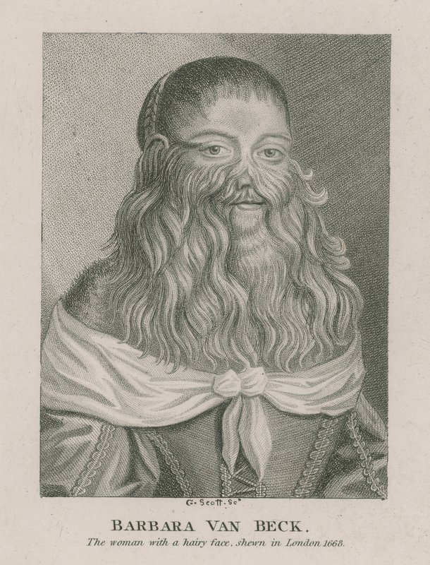 Barbara Van Beck, a mulher de rosto peludo, exibida em Londres, em 1668 de English School