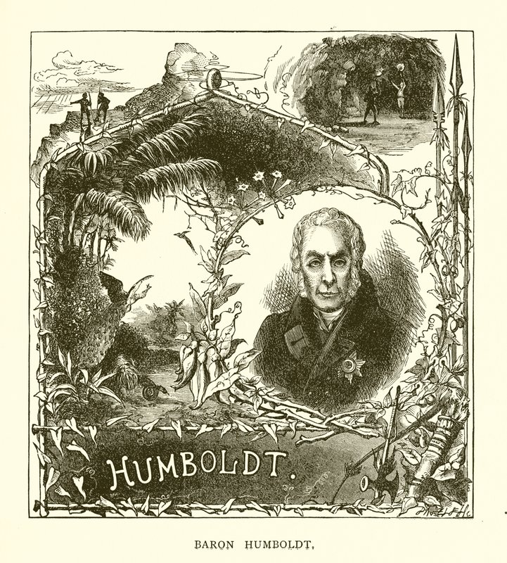 Barão Humboldt de English School