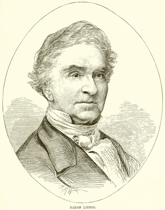 Barão Liebig de English School