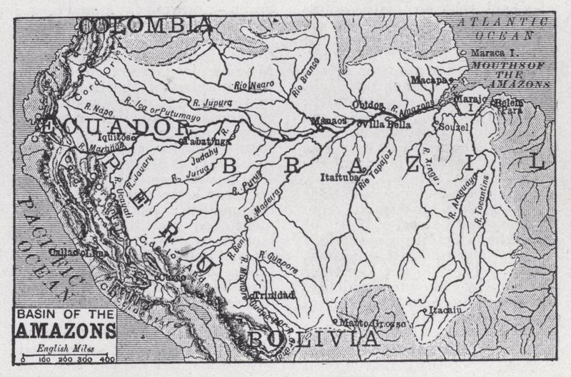 Bacia das Amazonas (litho) de English School