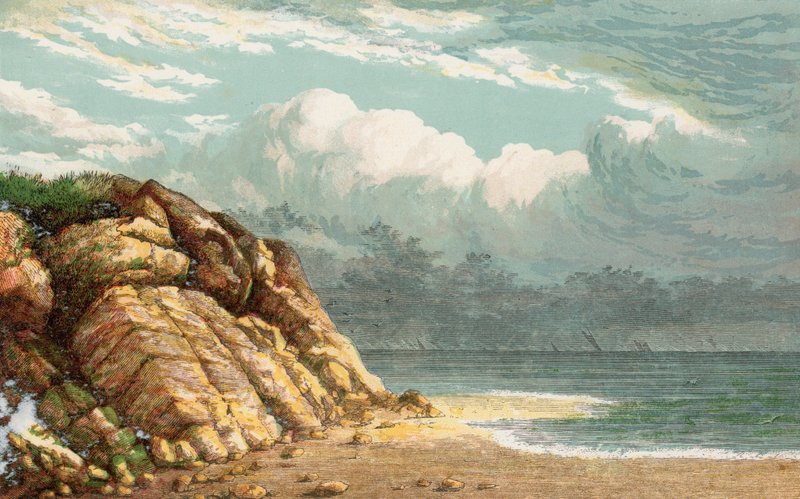 Praia e falésias de English School