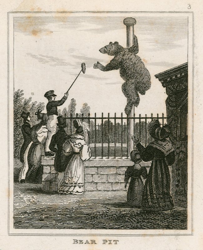 Urso Pit, jardins zoológicos de Londres, Regents Park de English School