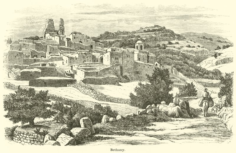 Betânia de English School