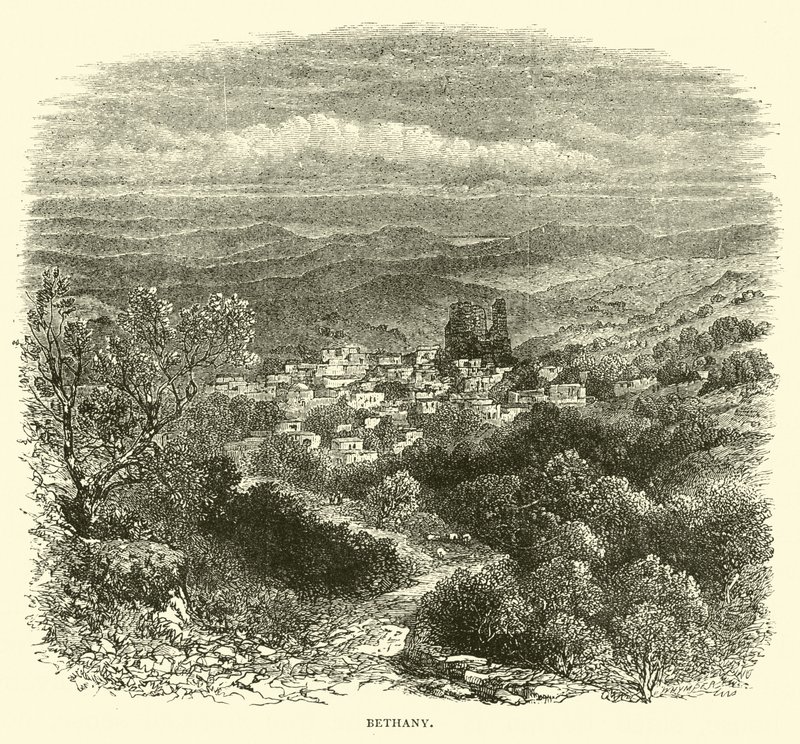 Betânia de English School