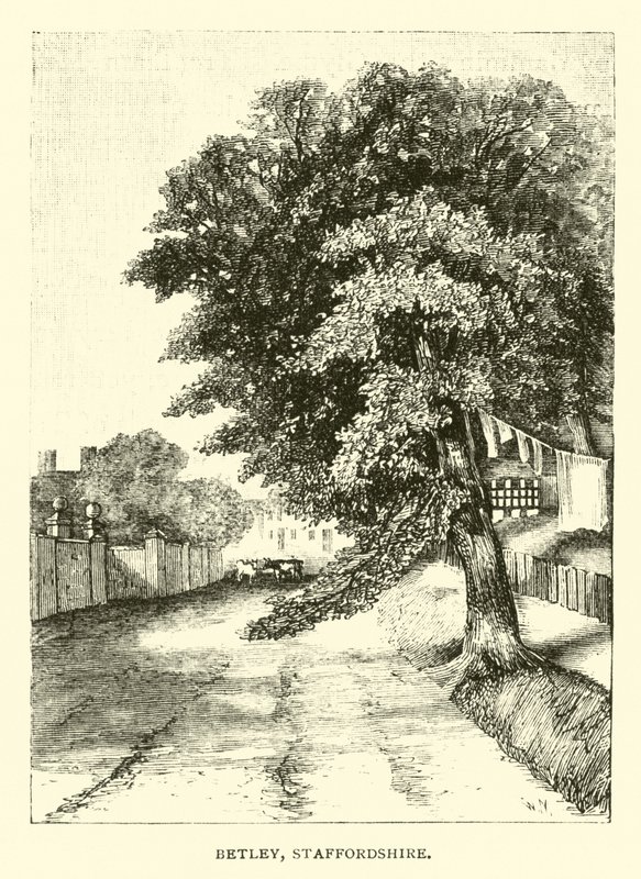 Betley, Staffordshire de English School