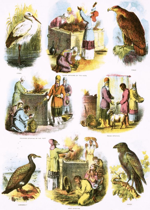 Ilustrações bíblicas de English School
