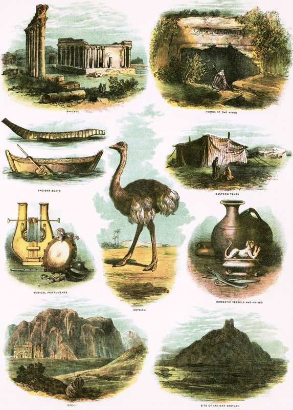 Ilustrações bíblicas de English School