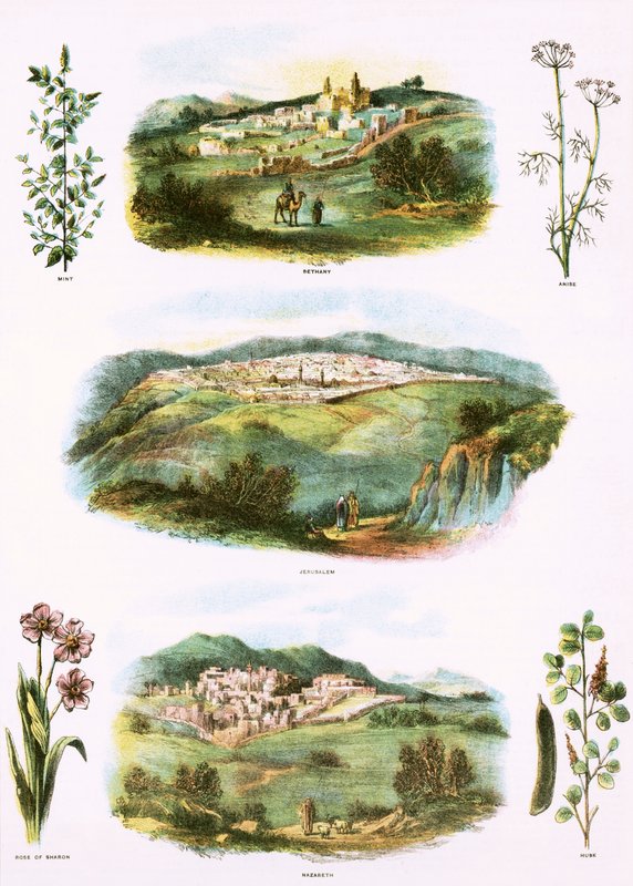 Ilustrações bíblicas de English School