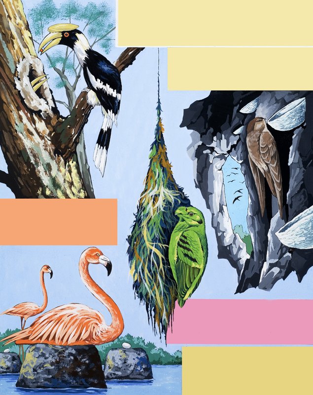 Montagem de pássaros de English School