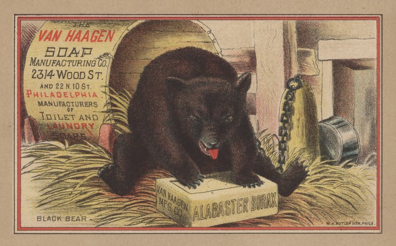 Urso Preto (cor litho) de English School