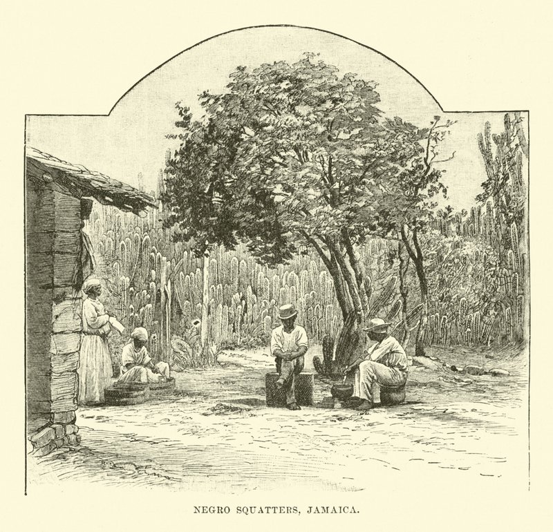 Squatters Negros, Jamaica de English School