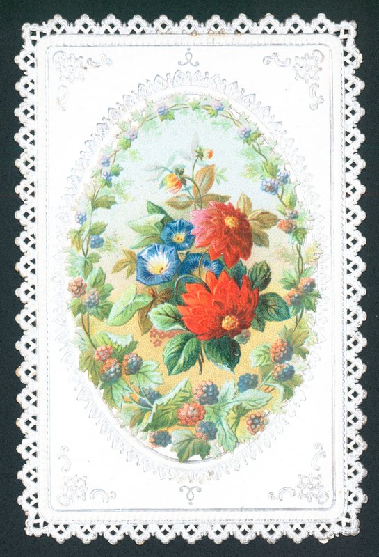 Flores do anúncio das amoras-pretas, cartão de English School