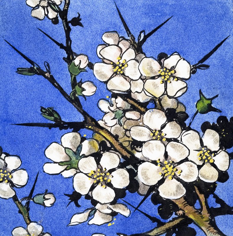 Blackthorn de English School