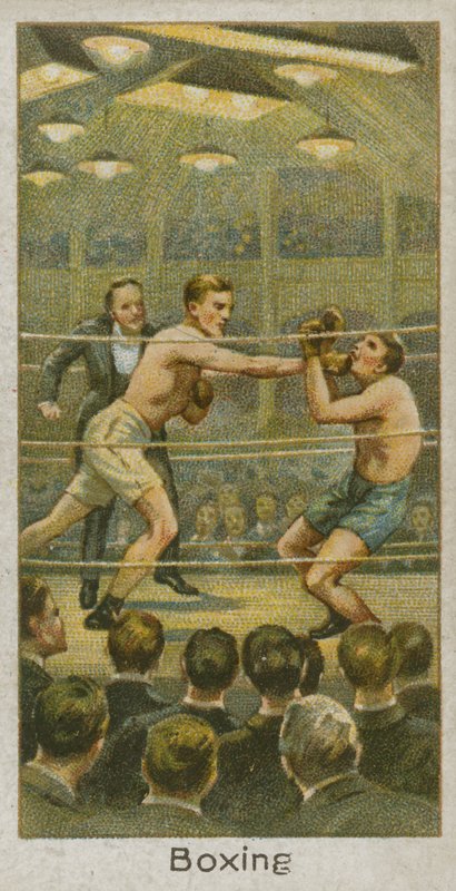 Boxe de English School