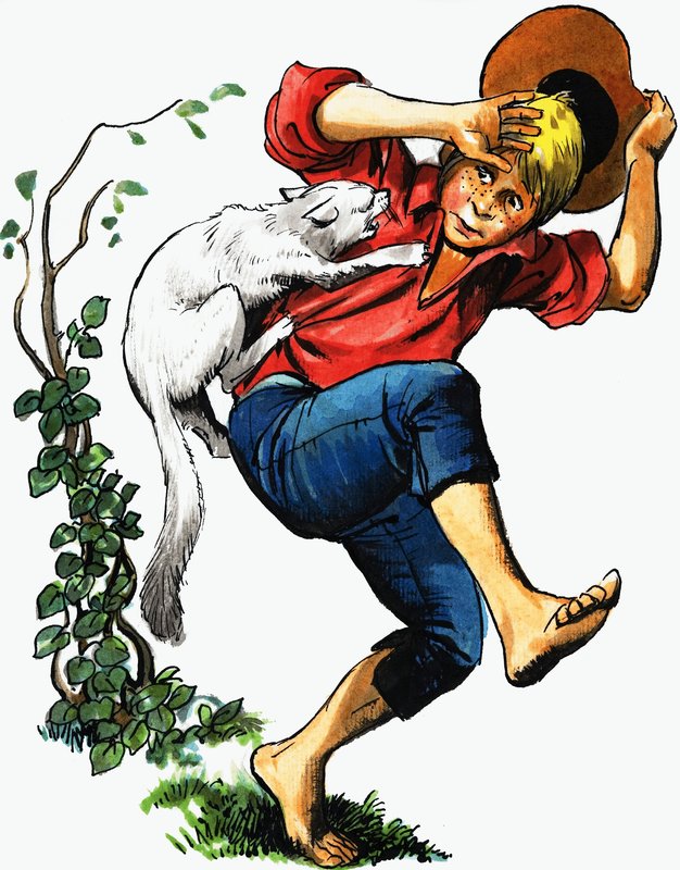 Garoto atacado por gato de English School