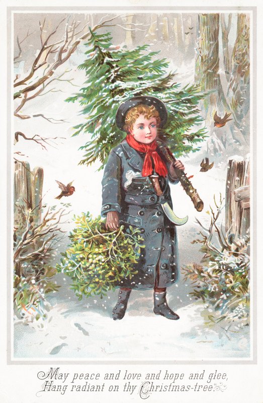 Menino, carregar, árvore natal, ombro, cartão natal de English School