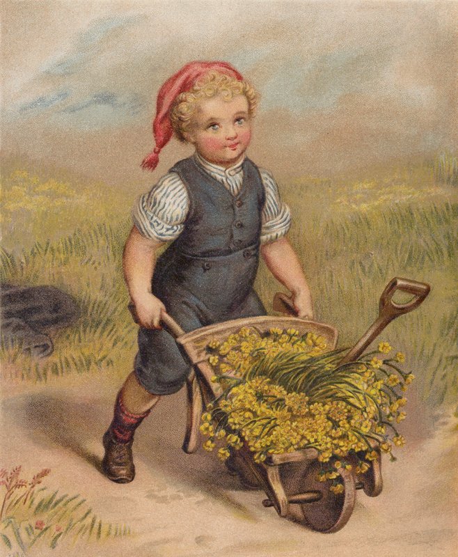 Rapaz a empurrar um carrinho de mão cheio de flores (cromolitho) de English School