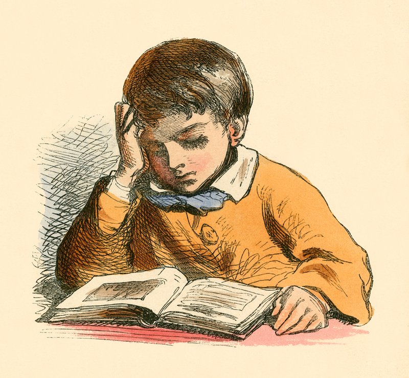 Menino, leitura de English School