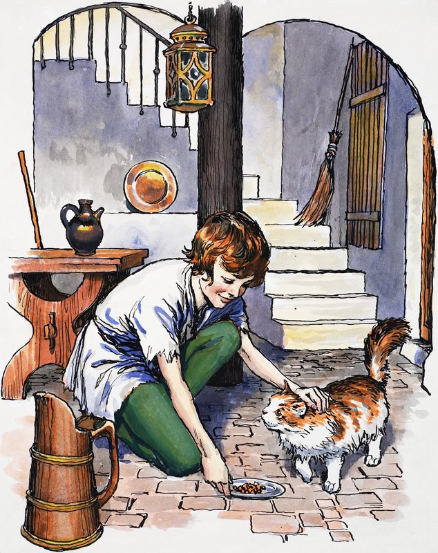 Menino, com, gato de English School