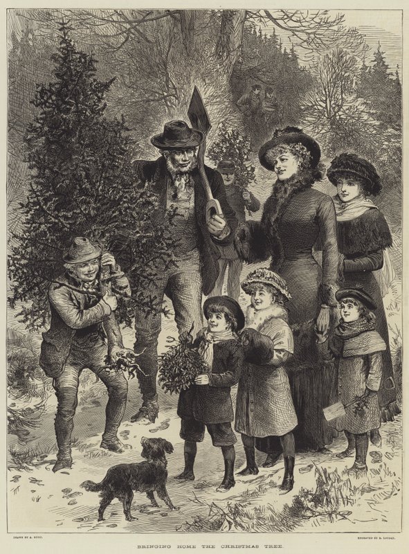 Trazendo para casa A Árvore de Natal (gravura) de English School