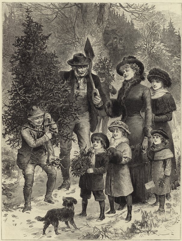 Levando para casa a árvore de natal de English School