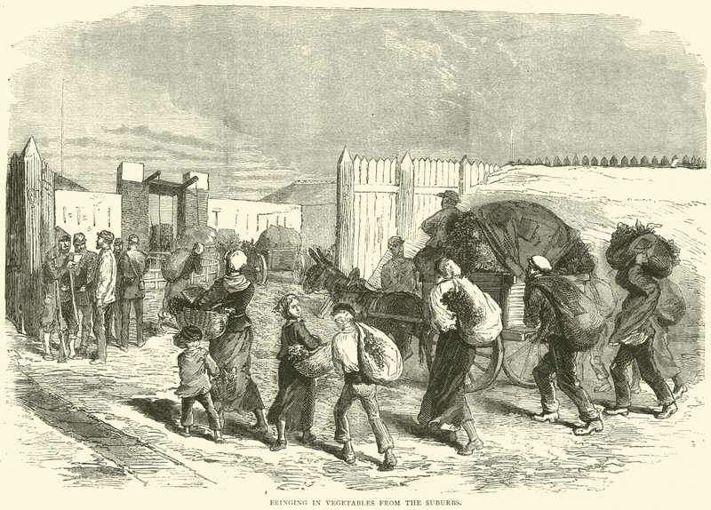 Trazendo vegetais dos subúrbios, outubro de 1870 de English School