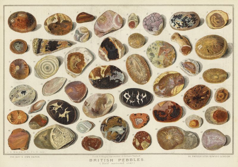 Seixos Britânicos (chromolitho) de English School