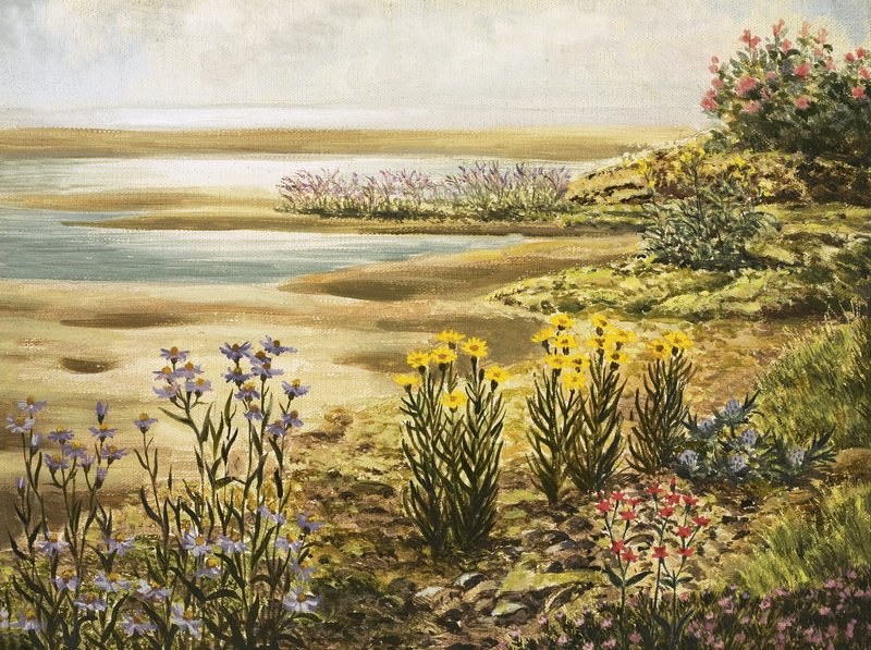 Flores dos pântanos salgados britânicos de English School