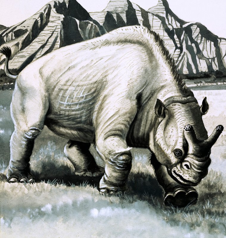Brontotherium da idade de Oligocene de English School
