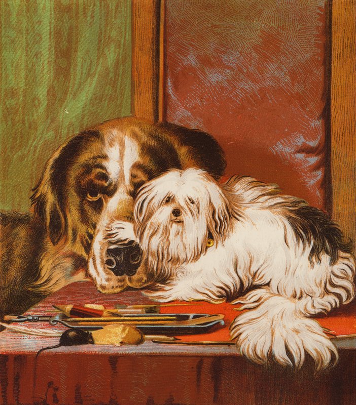 Bruno e Carlo (litografia a cores) de English School
