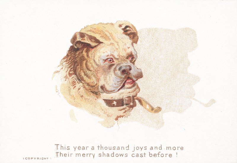 Buldogue e sombra, cartão de Natal de English School