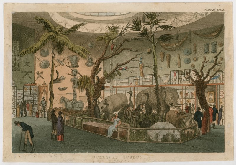 Museu dos bois de English School