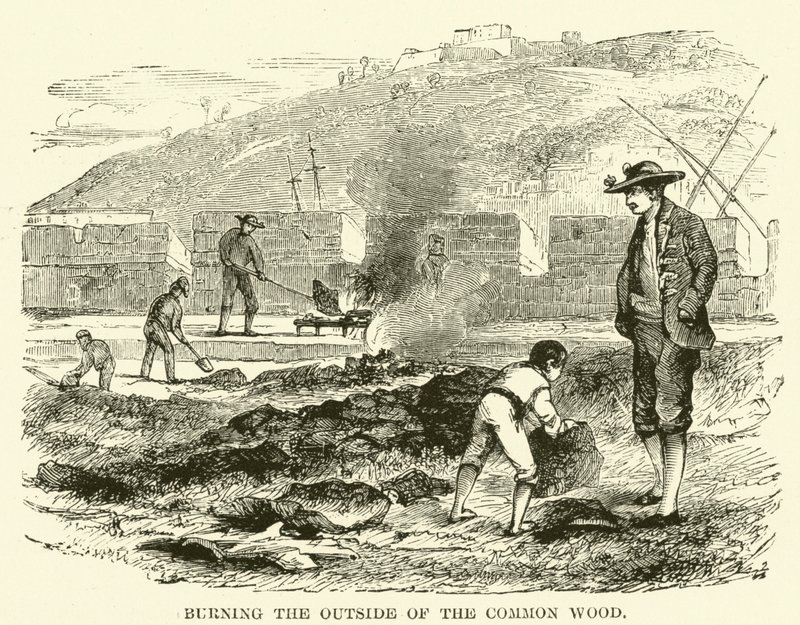 Queimar o exterior da madeira comum (gravura) de English School