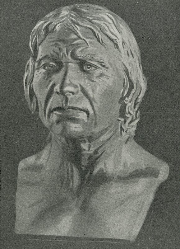 Busto de um homem de Cro-Magnon de English School