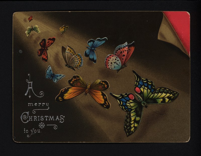 Borboletas, cartão de felicitações de Natal, finais do século XIX ou princípios do século XX (cromolitografia) de English School